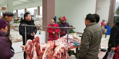 守護年關食品安全——石門市監在行動，聚焦食用農產品批發